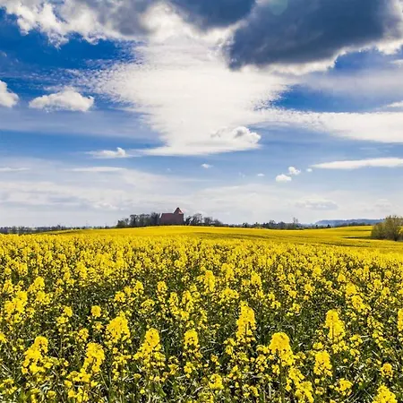 Life Is Life * Boltenhagen (Ostseebad)