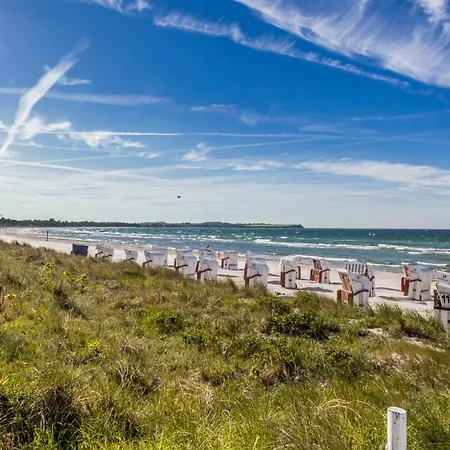 Life Is Life *